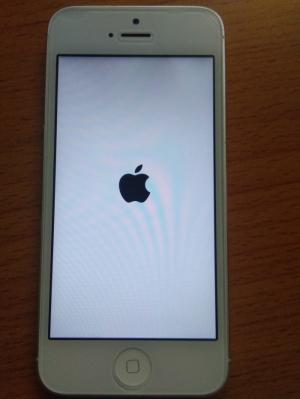 Iphone 5 trắng 16gb giá rẻ