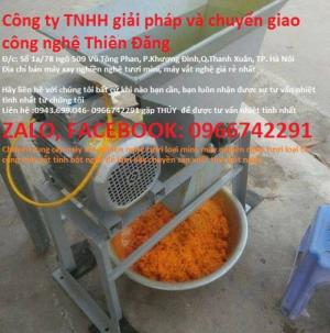 Cung cấp máy xay nghiền nghệ, máy vắt nghệ tươi - Thiên Đăng