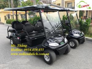 xe điện chở khách 8 chỗ lvtong