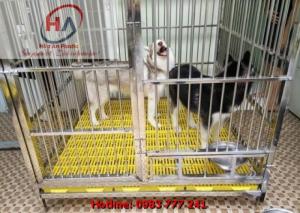 Tấm Nhựa Lót Sàn Chăn Nuôi Chất Lượng Tốt Giá Rẻ