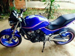 Hornet 250