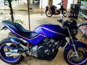 Hornet 250