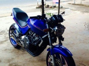Hornet 250