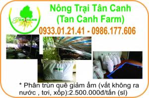 Phân trùn quế đã qua xử lý tốt cho cây trồng