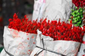 Bán buôn nụ tầm xuân đẹp nhất