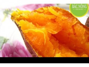 Khoai lang nướng mật Nhật, Đà Lạt