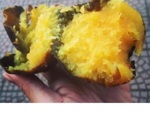 Khoai lang nướng mật Nhật, Đà Lạt