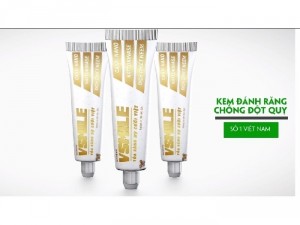 Kem Đánh Răng Thảo Dược Vsmile