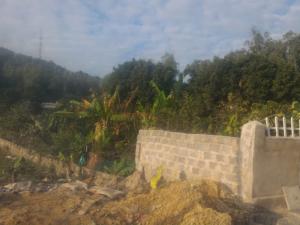 Bán Lô Đất 10000m2 Khu Vực Hải Tiến Đồng Tiến Cô Tô Quảng Ninh