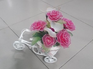 Xe đạp hoa