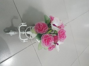 Xe đạp hoa