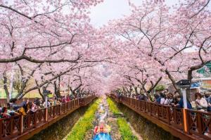 Seoul- Đảo Nami – Lotte World – Drawing Show 5N4D