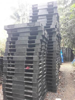 Bán pallet nhựa cũ giá rẻ toàn quốc. Bảo hành pallet nhựa cũ 6 tháng. Liên hệ: 0906193788 (24/24)
