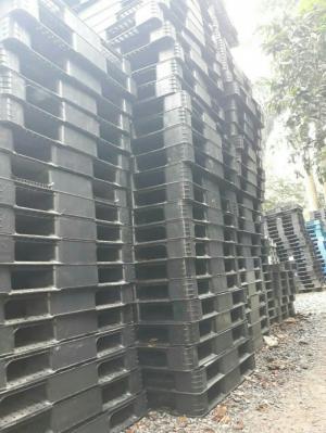 Cung cấp pallet nhựa cũ giá rẻ tại Đà Nẵng - Miễn phí vận chuyển số lượng - Liên hệ: 0906193788 (24/24)