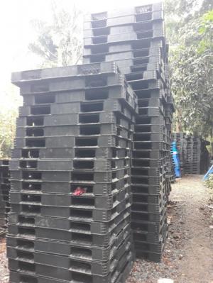 Pallet nhựa cũ kích thước 1300x1100x120 mm tại Đà Nẵng. Miễn phí vận chuyển số lượng lớn. Liên hệ: 0906193788 (24/24)