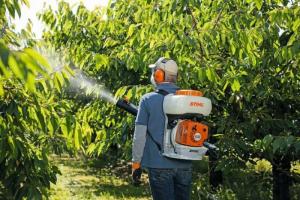 Sử dụng máy phun thuốc STIHL SR200 trong diệt trừ sâu bệnh
