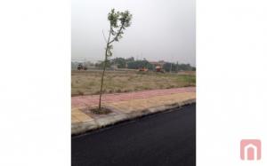 Bán đất thuộc xã Phú Xuân