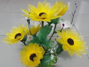 Hướng dương
