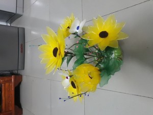 Hướng dương