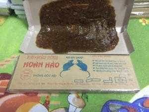 Keo dính chuột chất lượng bán buôn