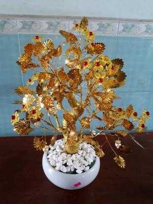 Cây cành vàng lá ngọc