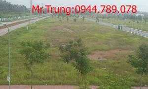 Bán đất diện tích 100m2,200,300m2