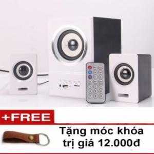 Loa vi tính bass có điều khiển cho máy tính PC và Laptop