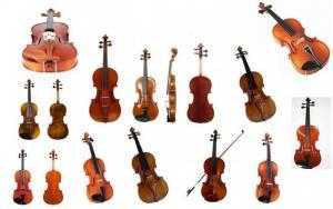 Chuyên Bán Đàn violin uy tín chất lượng giá rẻ nhất tại Hóc Môn, TPHCM