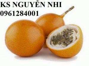 Bán cây giống chanh leo ngọt colombia, giống cây chanh nhập khẩu chuẩn giống f1, giao cây toàn quốc