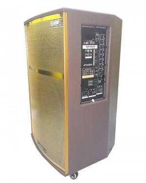 điều chỉnh Treble, Bass, Mid của loa và Treble, Bass, Echo, Delay như một bộ karaoke mini chuyên nghiệp