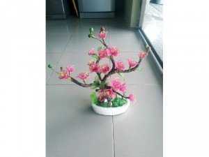 Hoa Đào