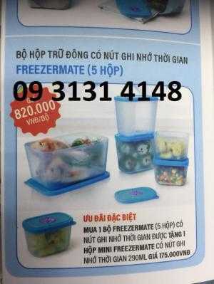 Hộp bảo quản thực phẩm đông lạnh Tupperware,  thịt cá,hộp thực phẩm tươi sống