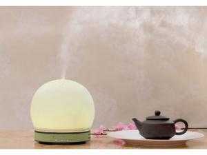 Máy Khuếch Tán Tinh Dầu Ball Shape With Flowers Yd 023-6f