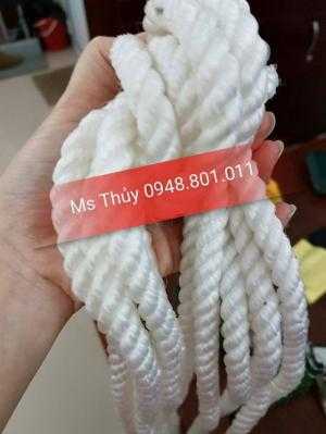 Lưới chặn hàng container IMG Việt Nam, Lưới bảo vệ hàng hóa an toàn cửa cont