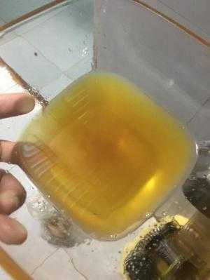 Máy ép dầu thực vật gia đình