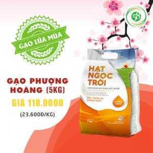 Gạo Lúa Mùa Phượng Hoàng - Gạo Mới - Gạo Ngon