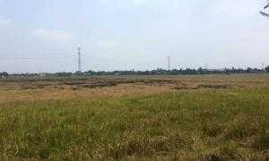 dat cong nghiep ninh binh cho thue