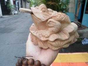 Thiềm thừ gỗ xá xị