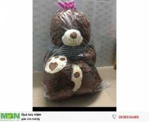 Gấu ôm teddy