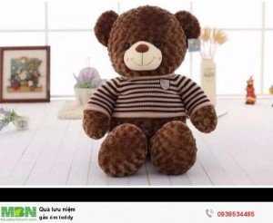 Gấu ôm teddy