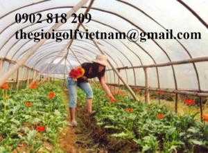 Lưới chắn côn trùng, lưới quây vườn rau sạch