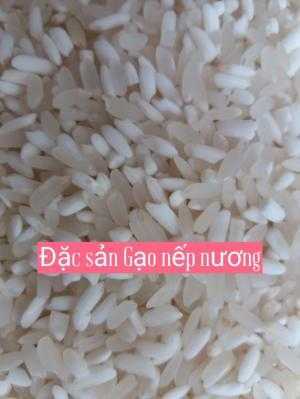 Gạo nếp nương