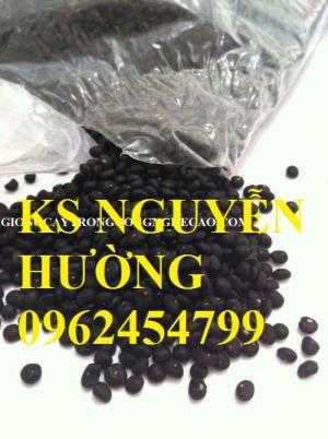 Cung cấp số lượng lớn cây giống măng tây, măng tây xanh, măng tây tím - giao cây toàn quốc