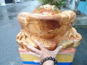 Cóc gỗ cà te (gõ đỏ)