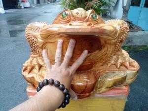 Cóc gỗ cà te (gõ đỏ)