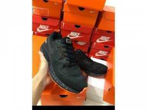 Nike Pegasus và Winflo