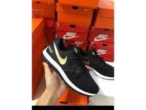 Nike Pegasus và Winflo