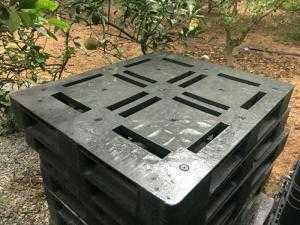 Pallet nhựa mới - Kích thước 1200 x 1000 x 150 mm (16,5kg)