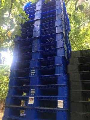 Pallet nhựa cũ Hà Nội - Pallet nhựa Nhật