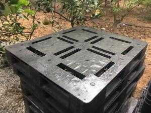 Pallet nhựa cũ Hà Nội - Pallet nhựa Hàn